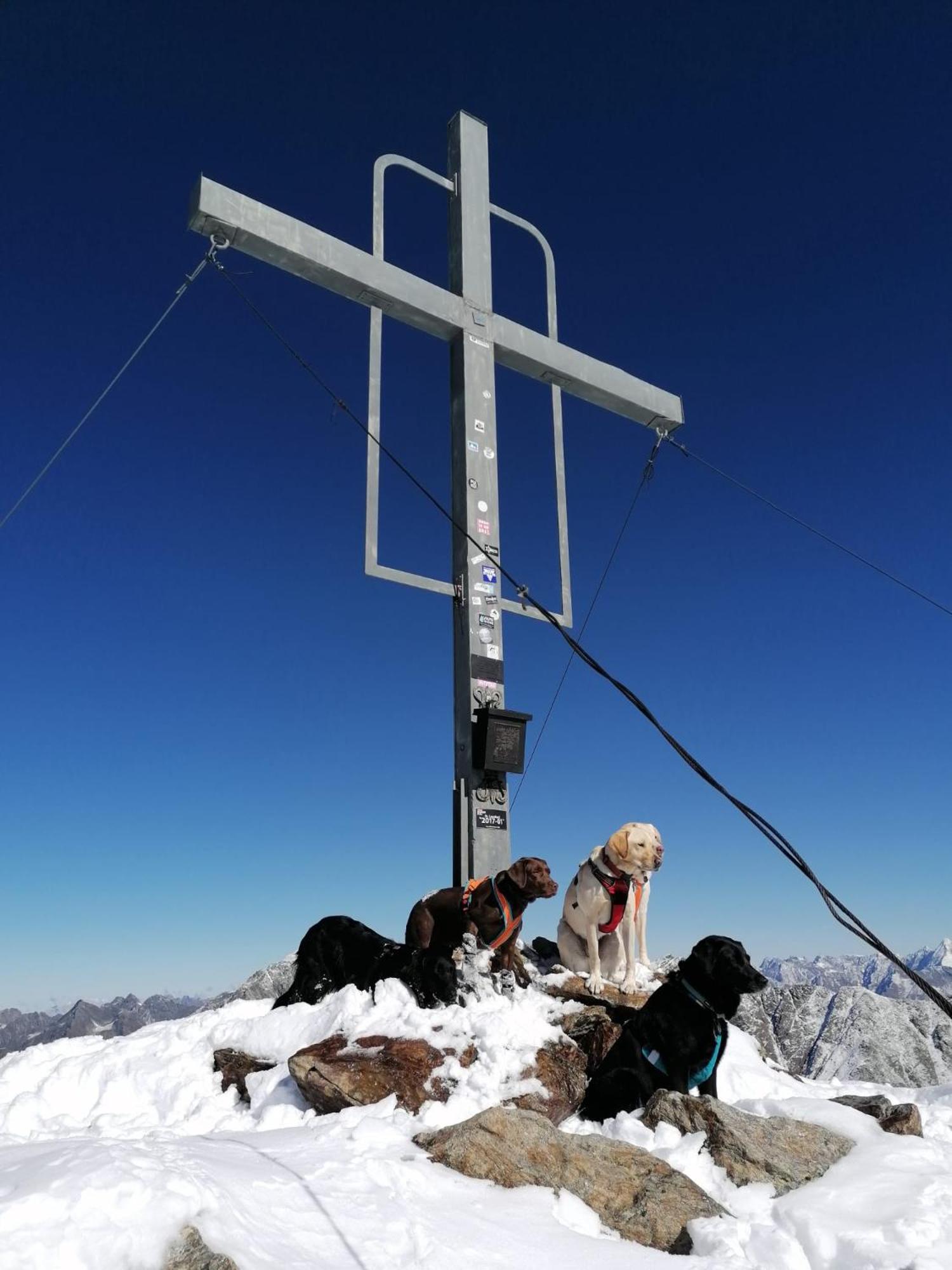 Alpin Mandarfen